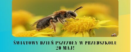 20.05.25r. Światowy Dzień Pszczół w Krasnalach