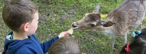 „Krasnale” i „Słoneczka” w Owieczce!
