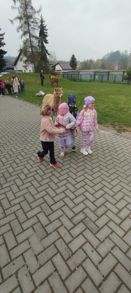 Img 20260416 103237 270x600