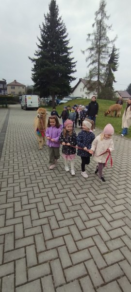 Img 20260416 103407 270x600