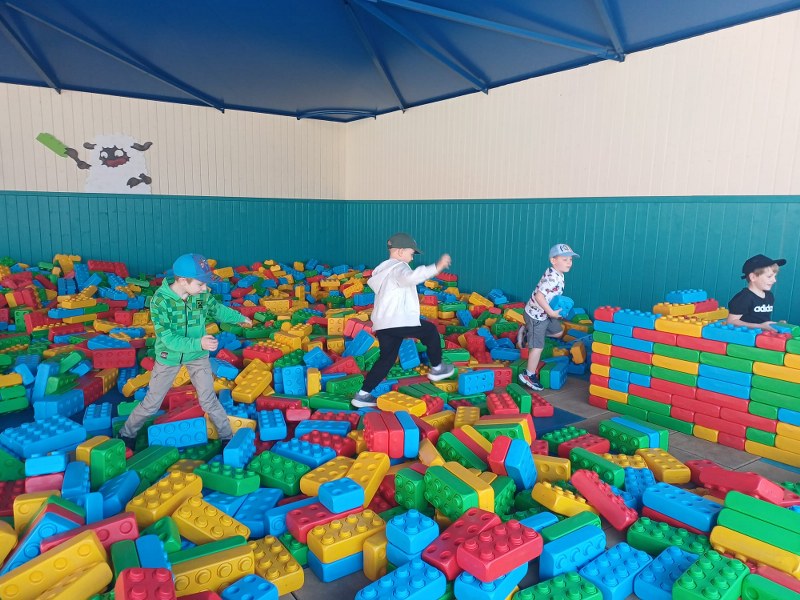 Bhvu0811 800x600