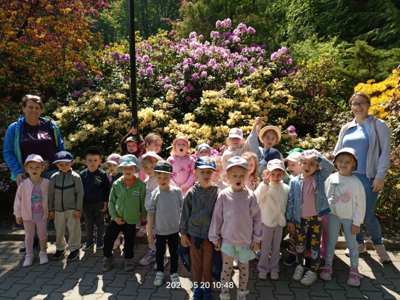 Img20260520104849 799x600