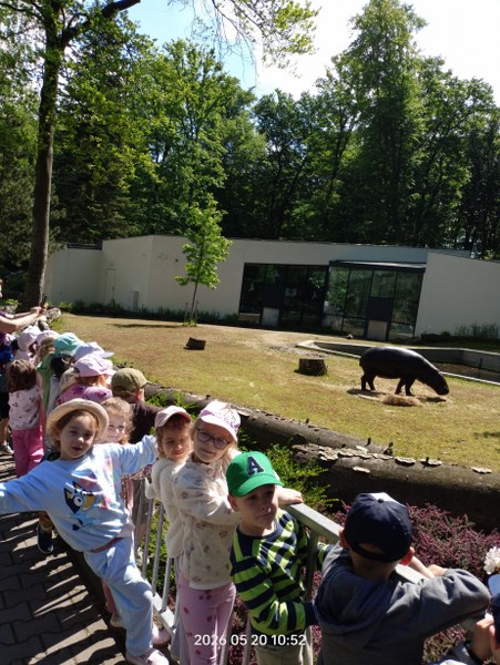Img20260520105229 451x600