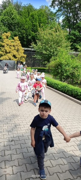 Img20260520113024 270x600