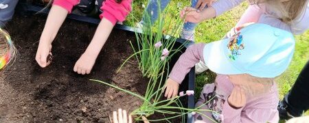 15.05.26r. Słoneczka i Krasnale promują zdrowe odżywianie