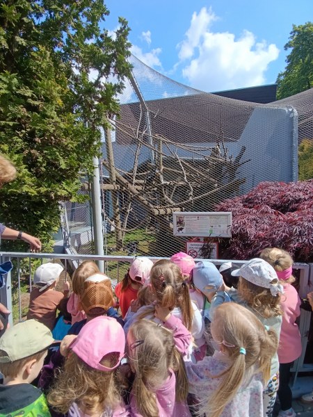 Img 20260520 105354 450x600
