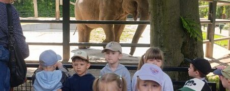 20.05.26r. Skrzaty i Motylki w ZOO