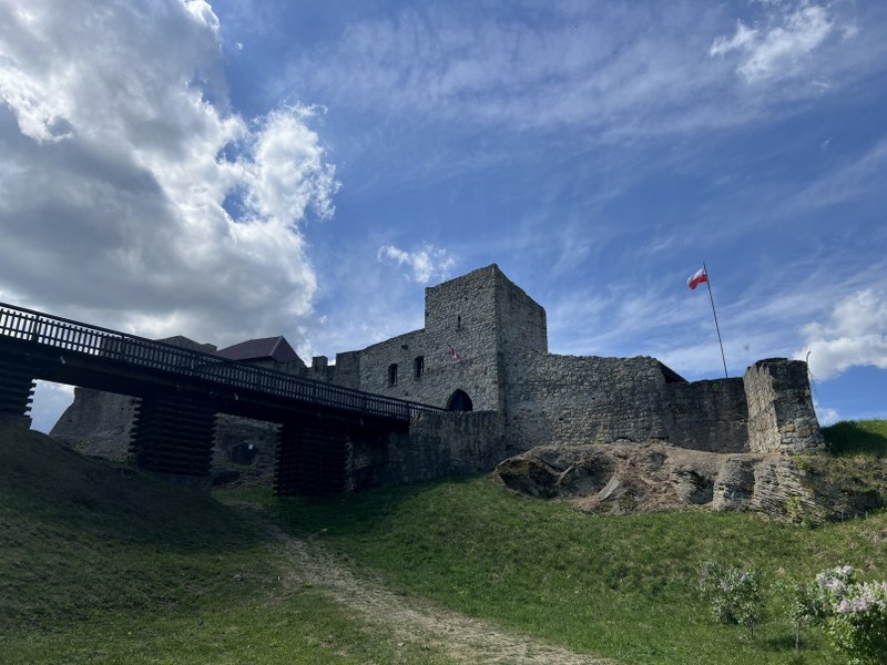 Img 5135 800x600